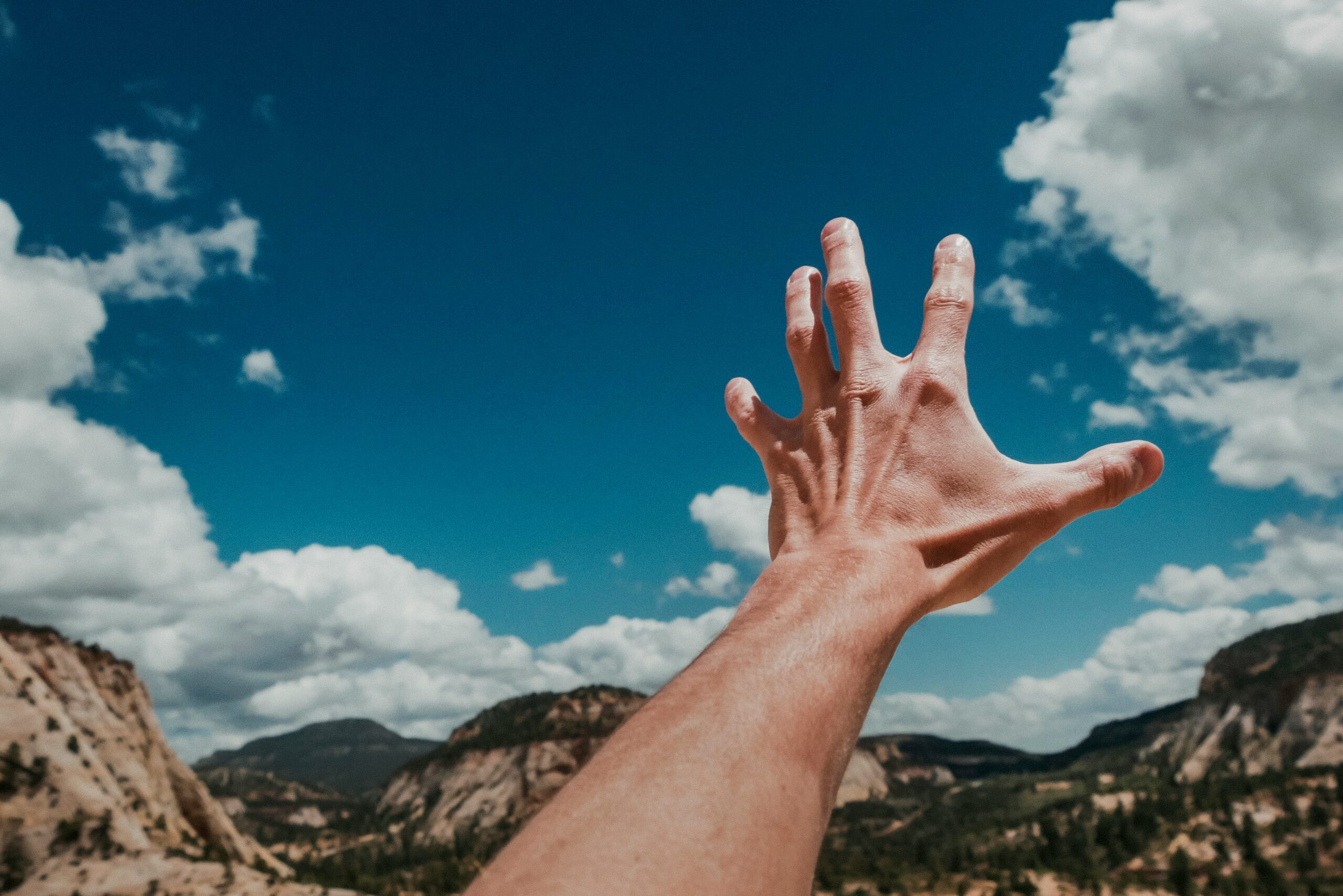 Photo by Nik Shuliahin on Unsplash